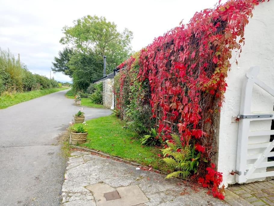 Rhos Y Bel Cottage Angelsey Llangadwaladr  Екстериор снимка