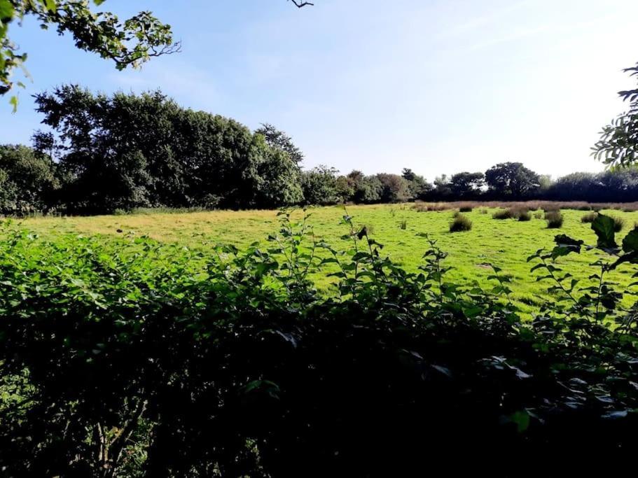 Rhos Y Bel Cottage Angelsey Llangadwaladr  Екстериор снимка