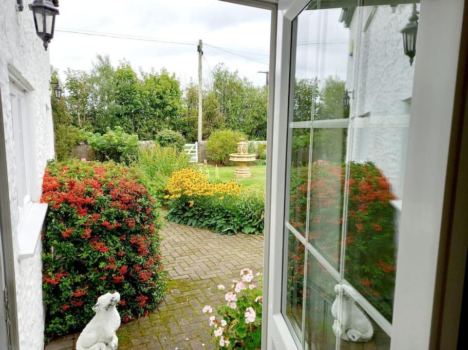 Rhos Y Bel Cottage Angelsey Llangadwaladr  Екстериор снимка
