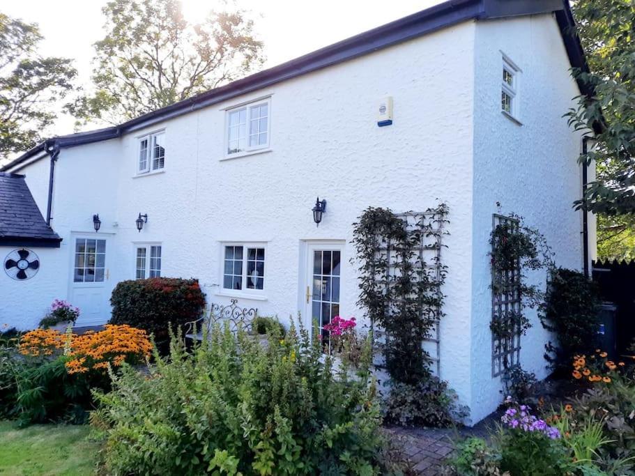 Rhos Y Bel Cottage Angelsey Llangadwaladr  Екстериор снимка